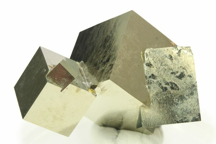 Shiny, Natural Pyrite Cube Cluster - Navajun, Spain #307141